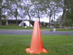 Spotted Second Cone